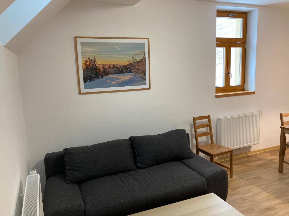 Šedivinské apartmány - rodinné apartmány v Orlických horách Kounov Exterior foto